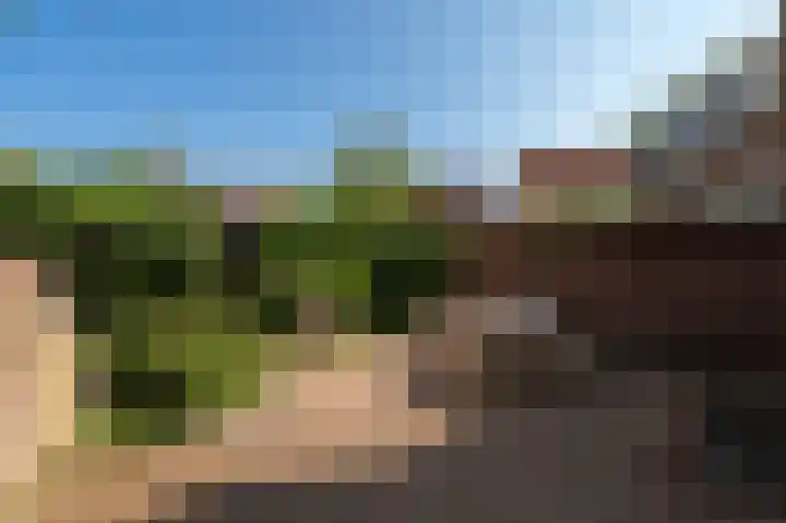 Kornewal 8 A Buren thumbnail 32