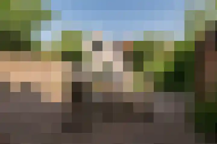 Kornewal 8 A Buren thumbnail 33