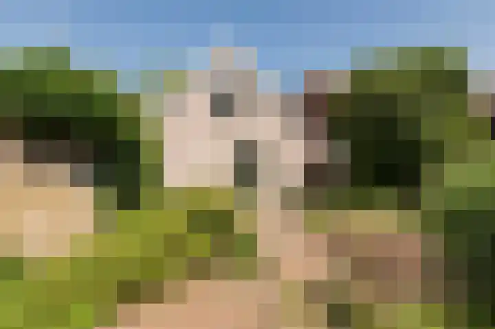 Kornewal 8 A Buren thumbnail 34