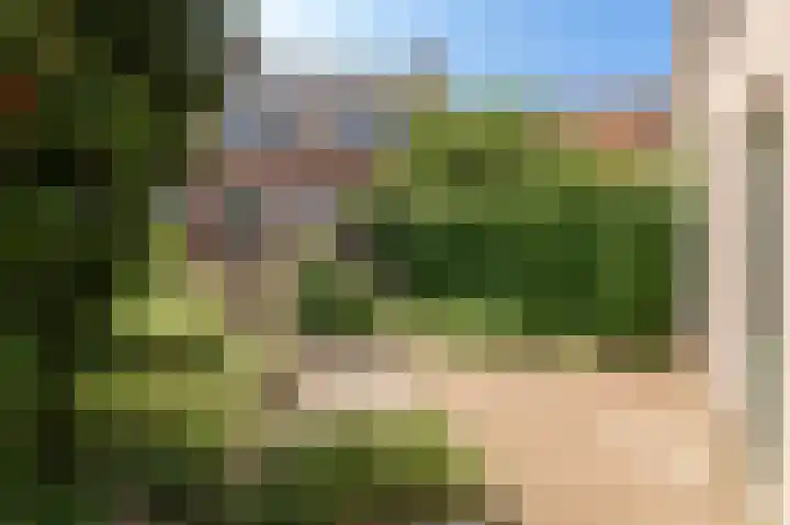 Kornewal 8 A Buren thumbnail 35