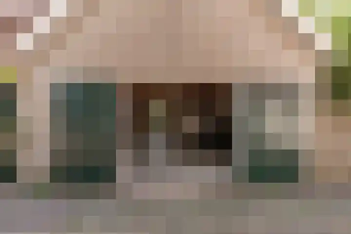 Kornewal 8 A Buren thumbnail 36