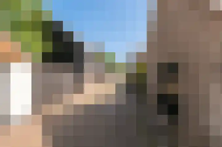 Kornewal 8 A Buren thumbnail 38