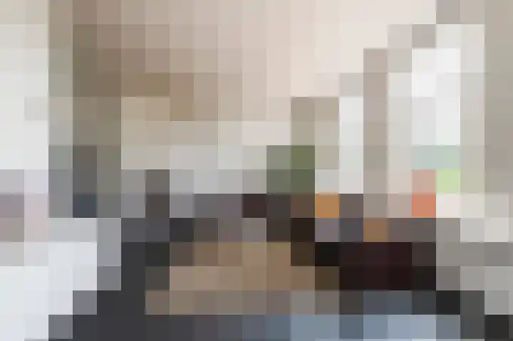 Kornewal 8 A Buren thumbnail 4