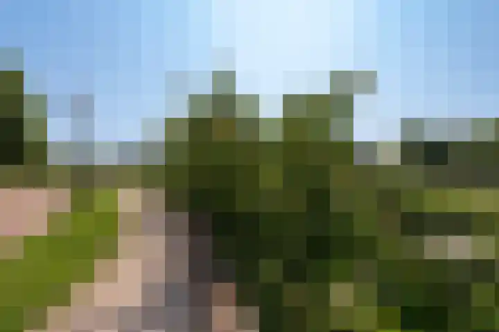 Kornewal 8 A Buren thumbnail 40