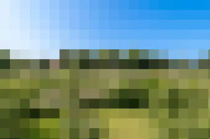 Kornewal 8 A Buren thumbnail 42