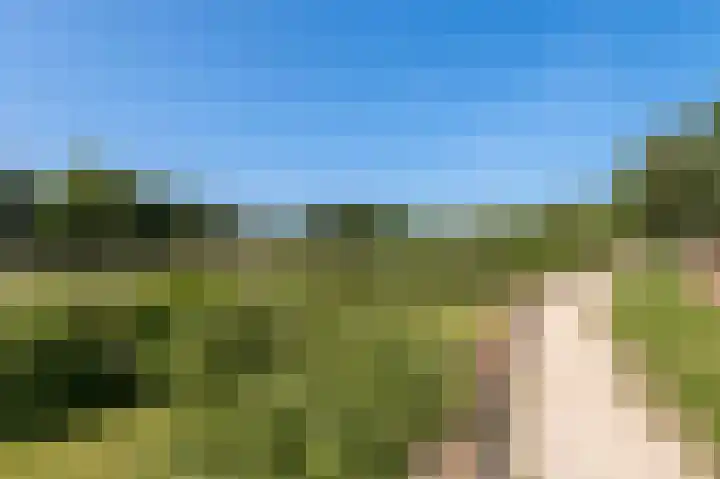 Kornewal 8 A Buren thumbnail 43