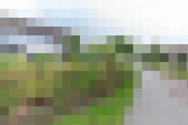 Kornhorst 18 's-Heerenberg thumbnail 4