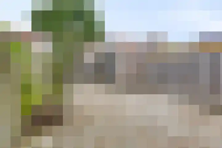 Kornoelje 13 Deventer thumbnail 18