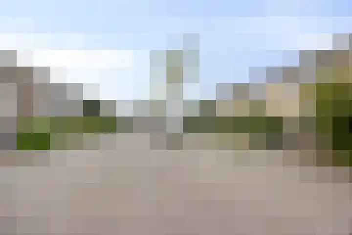 Kornoelje 13 Deventer thumbnail 22