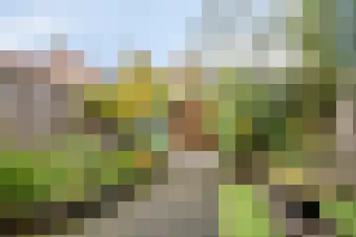 Kornoelje 5 Deventer thumbnail 23