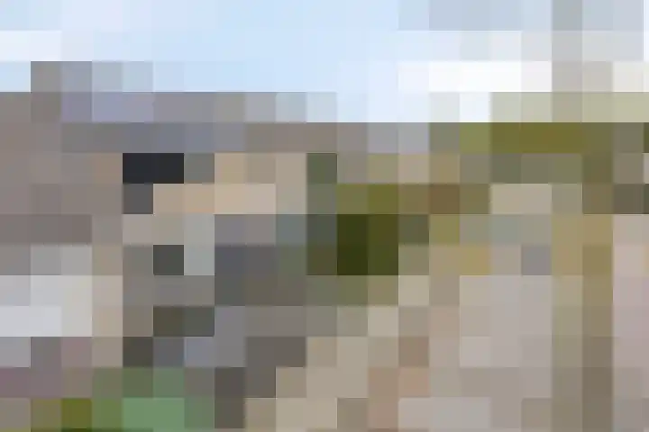 Kornoelje 5 Deventer thumbnail 31