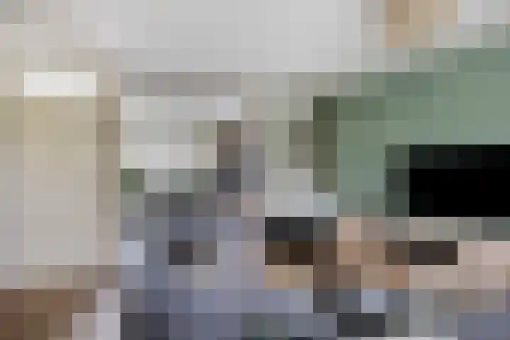 Kornoelje 5 Deventer thumbnail 6
