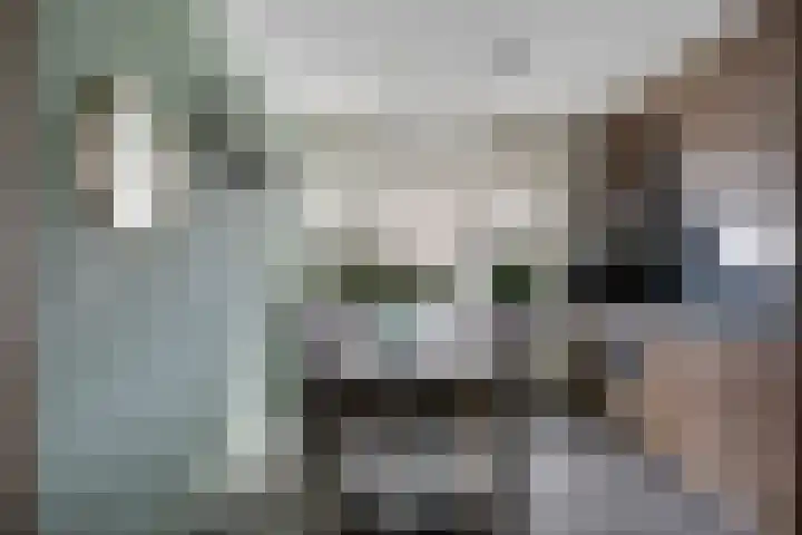 Kornoelje 5 Deventer thumbnail 7