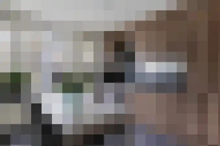 Kornoelje 5 Deventer thumbnail 8