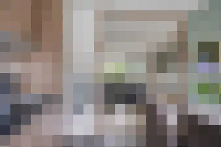 Kornoelje 5 Deventer thumbnail 9