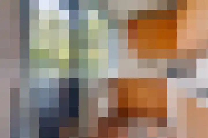 Kornoelje 8 Leusden thumbnail 19