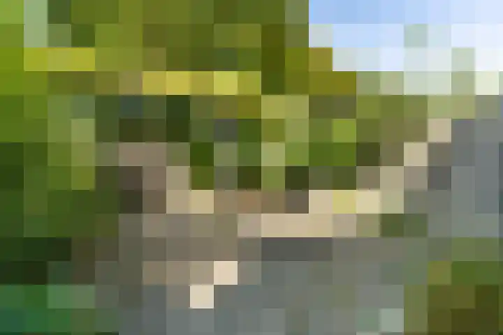 Kornoelje 8 Leusden thumbnail 21