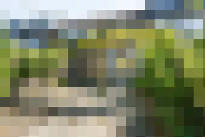 Kornoelje 8 Leusden thumbnail 22