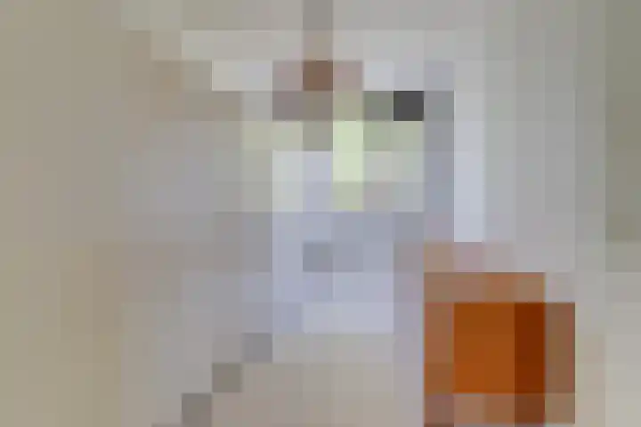 Kornoelje 8 Leusden thumbnail 26