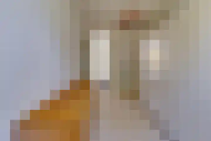 Kornoelje 8 Leusden thumbnail 30