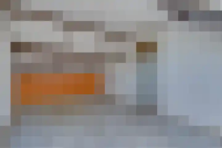 Kornoelje 8 Leusden thumbnail 33