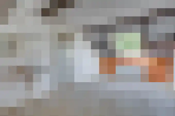 Kornoelje 8 Leusden thumbnail 34