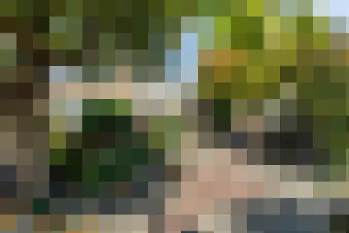 Kornoelje 8 Leusden thumbnail 35