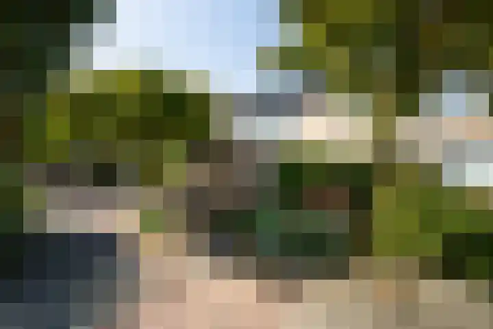 Kornoelje 8 Leusden thumbnail 36