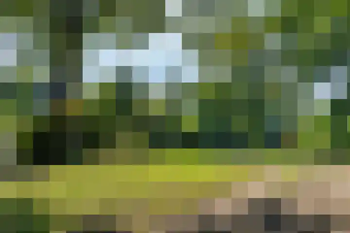 Kornoelje 8 Leusden thumbnail 4