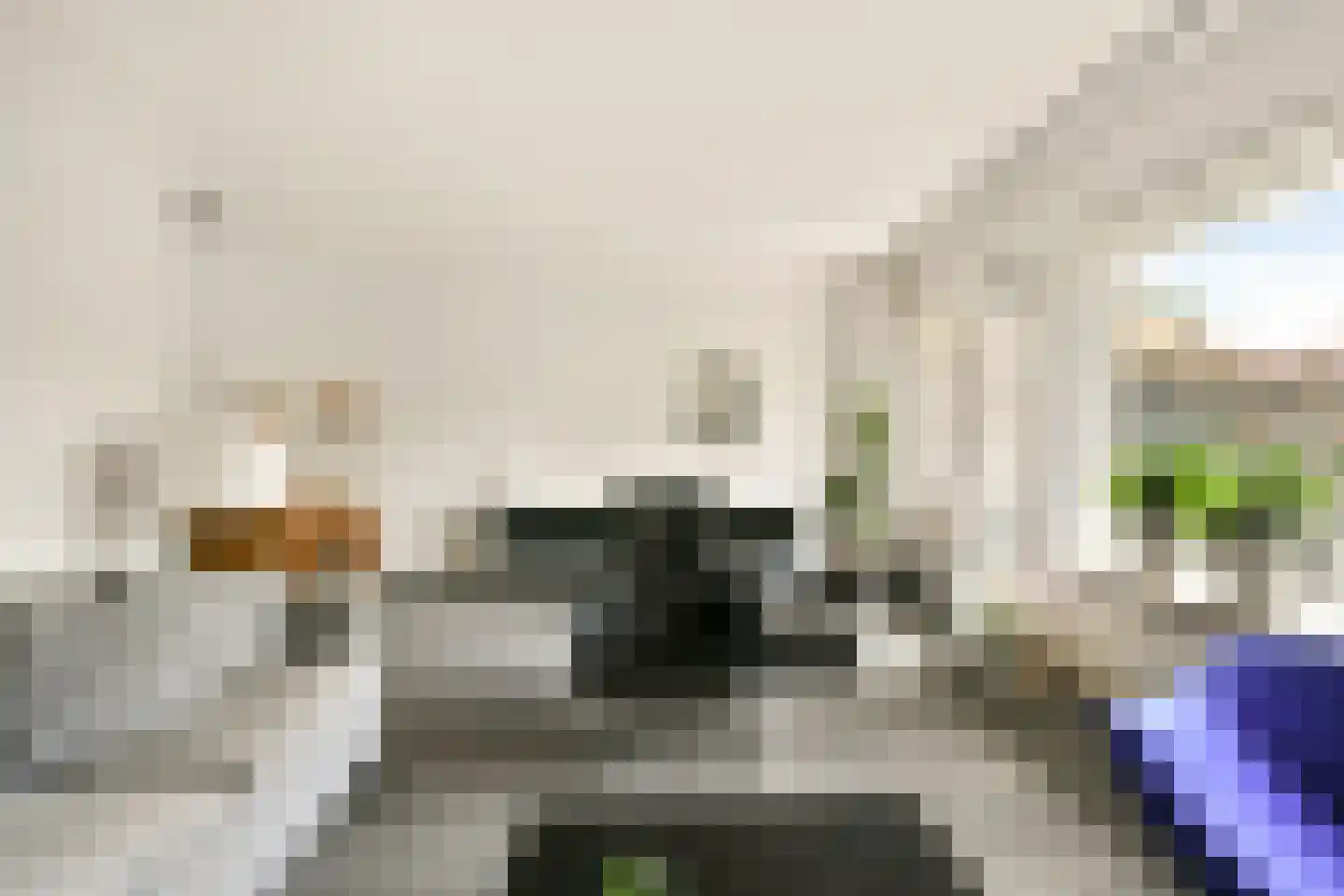 Kornoeljedreef 24 Vlaardingen thumbnail 11