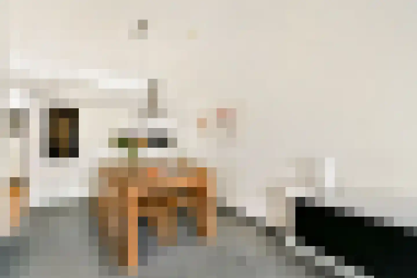Kornoeljedreef 24 Vlaardingen thumbnail 13