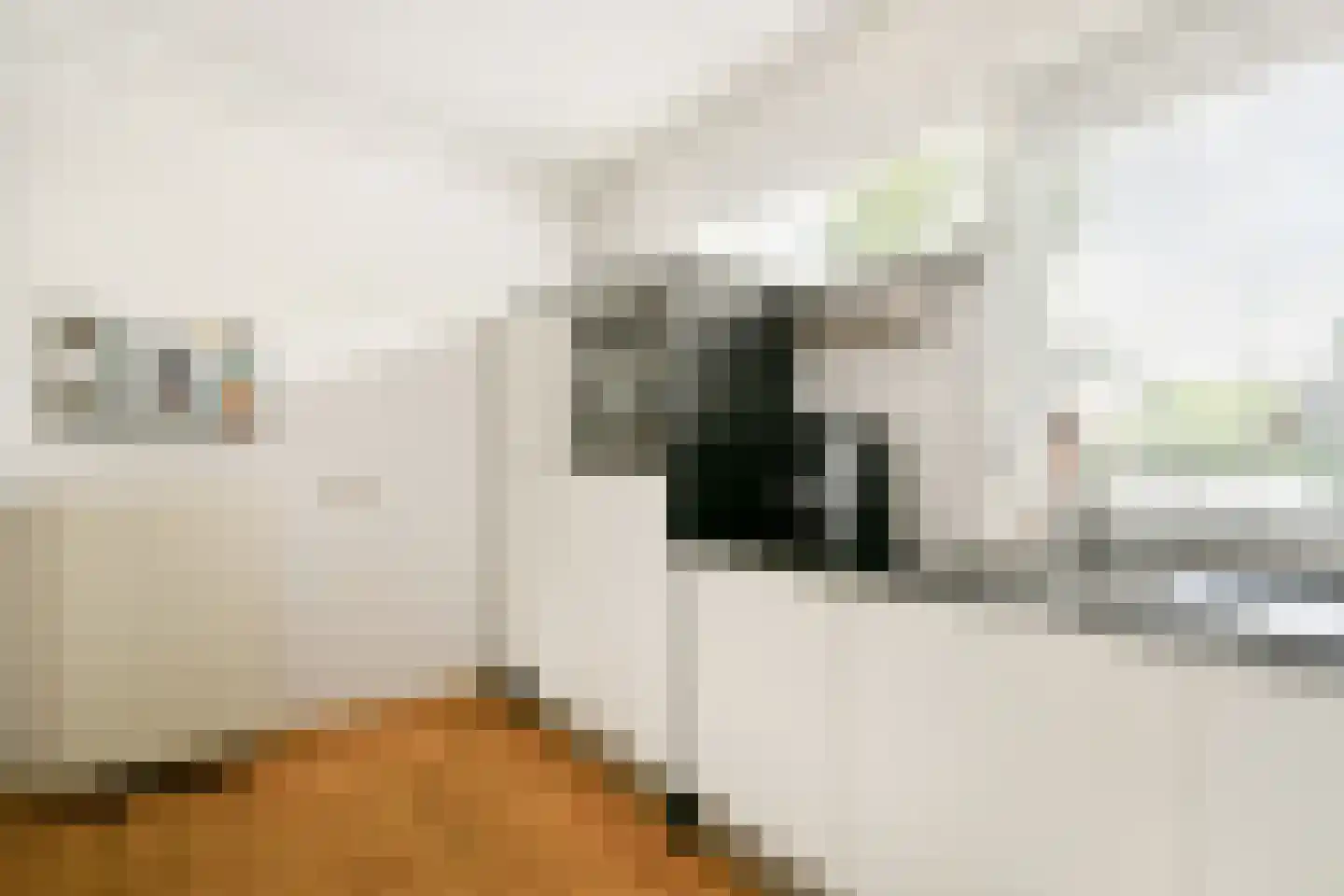 Kornoeljedreef 24 Vlaardingen thumbnail 16