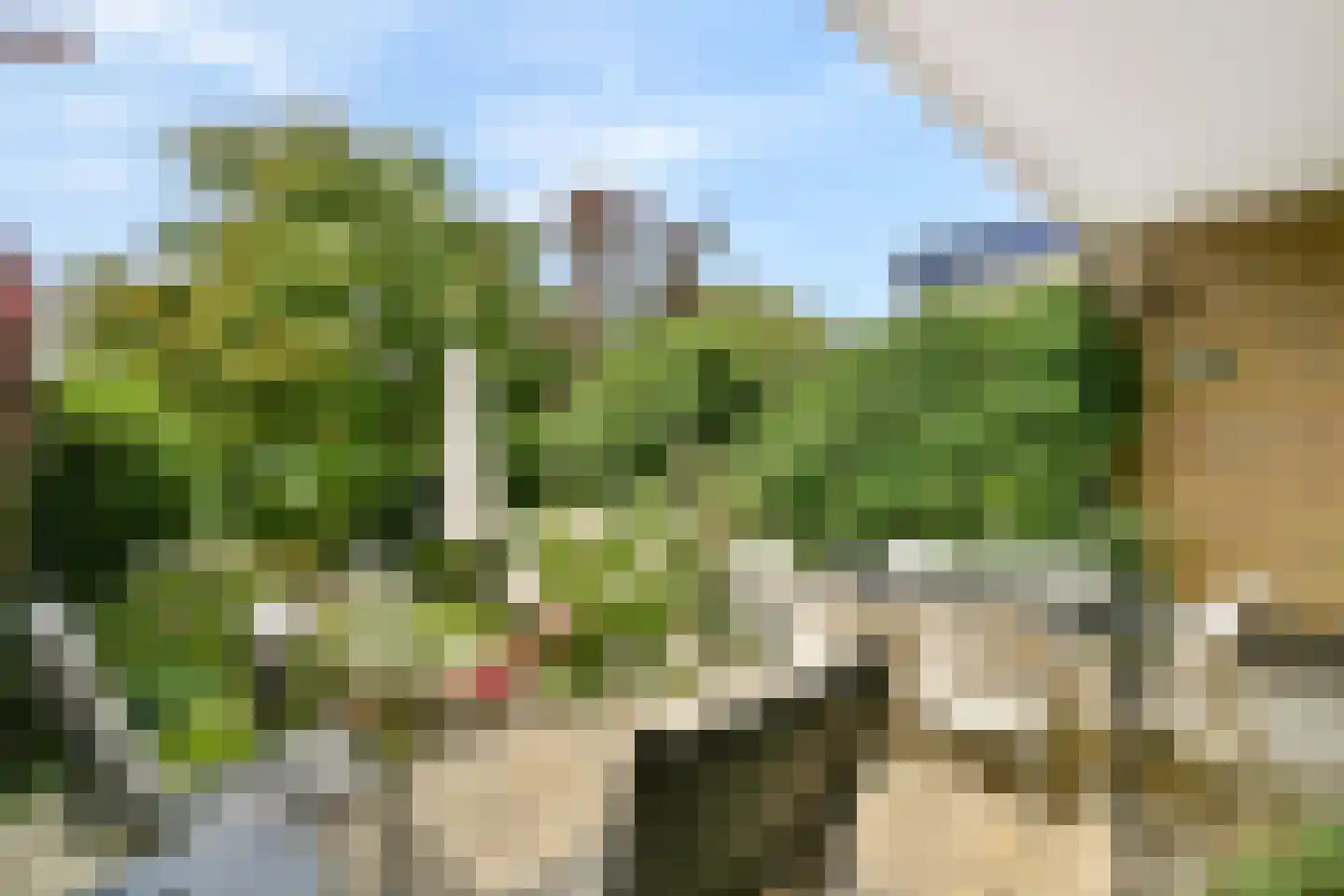 Kornoeljedreef 24 Vlaardingen thumbnail 17