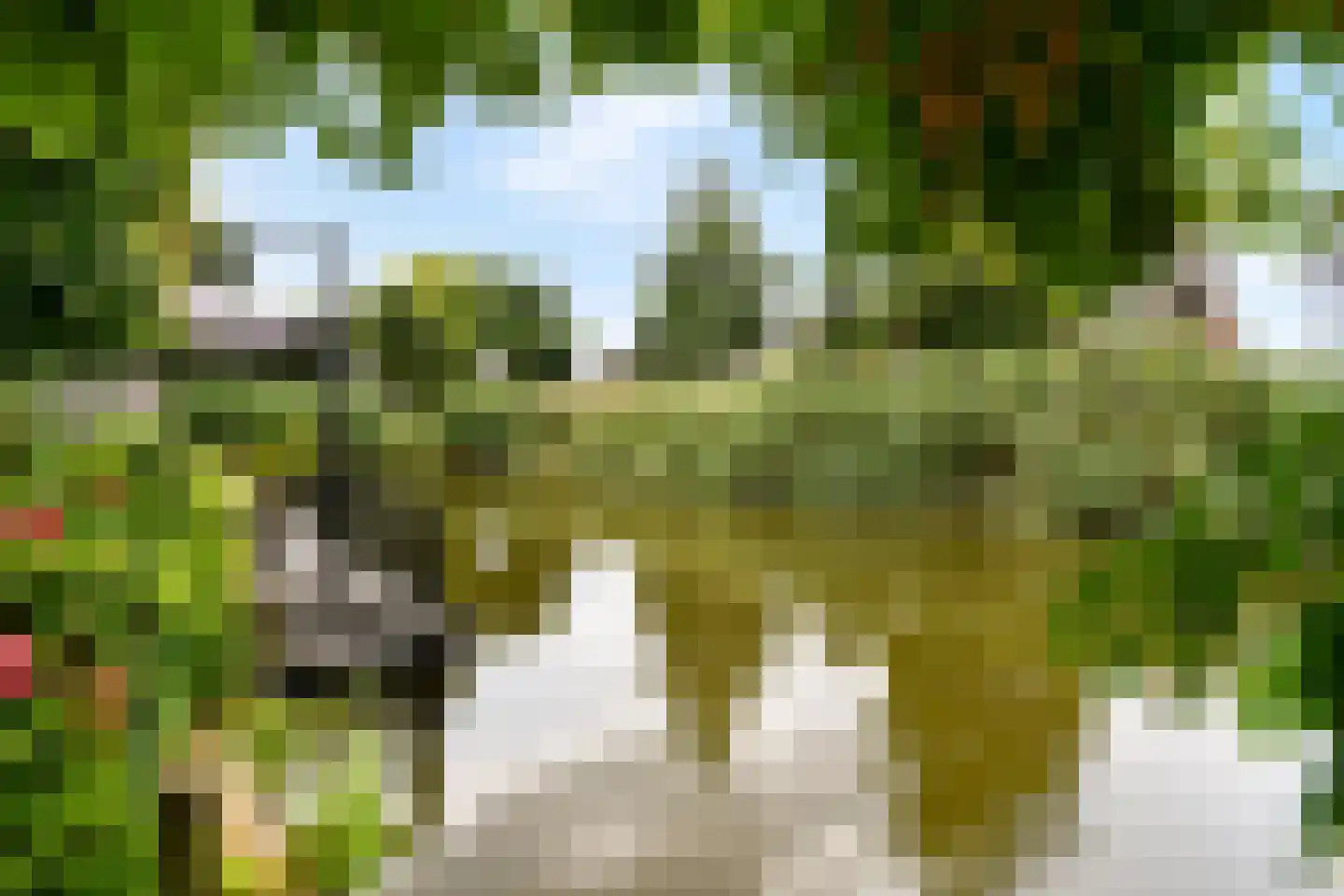 Kornoeljedreef 24 Vlaardingen thumbnail 20