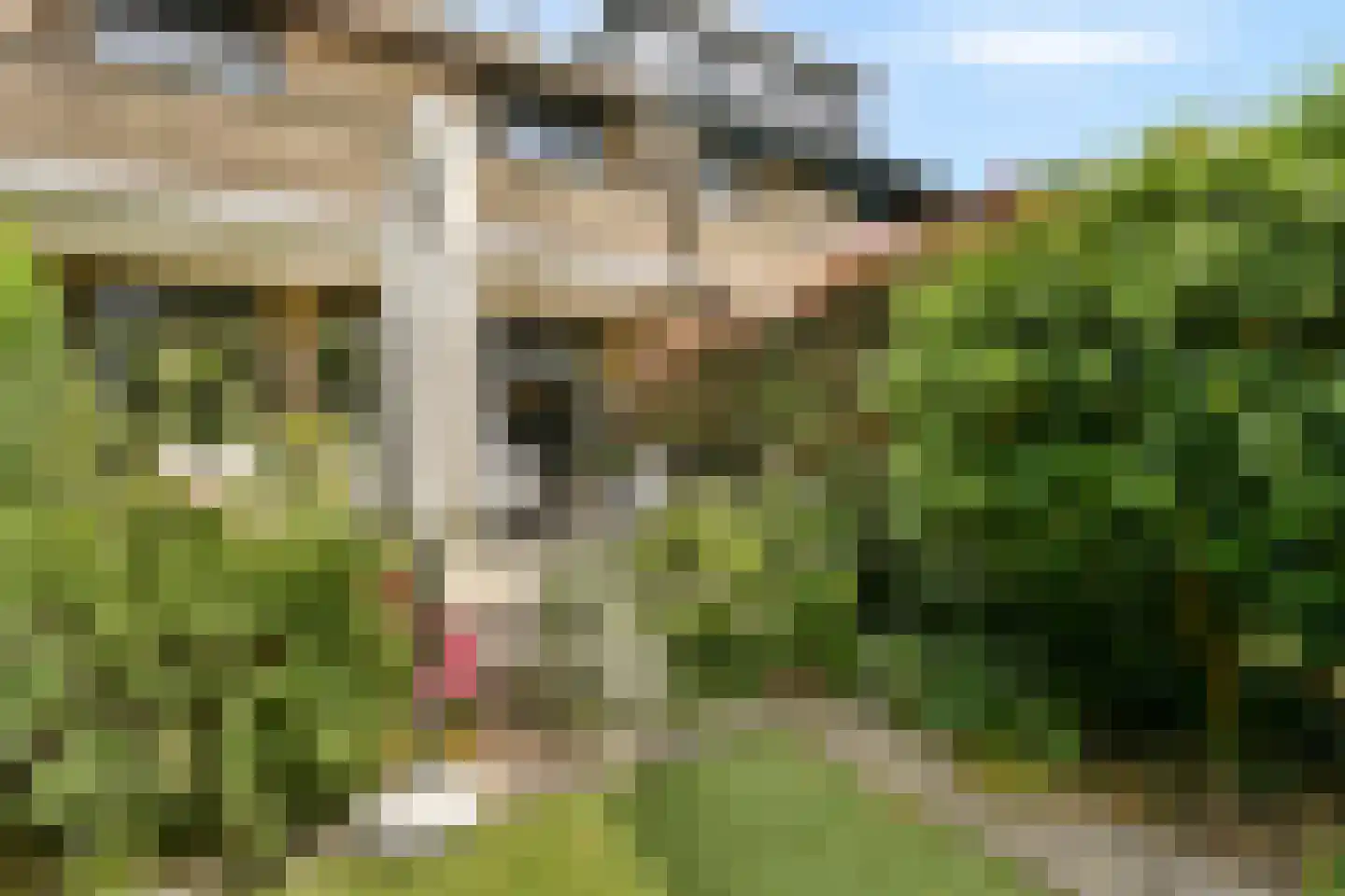 Kornoeljedreef 24 Vlaardingen thumbnail 21