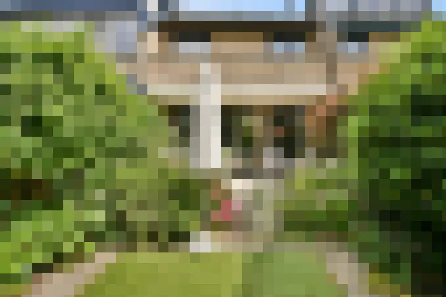 Kornoeljedreef 24 Vlaardingen thumbnail 22