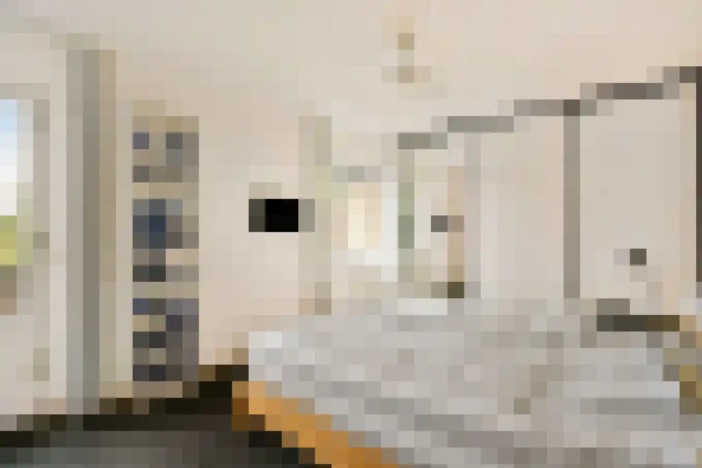 Kornoeljedreef 24 Vlaardingen thumbnail 25