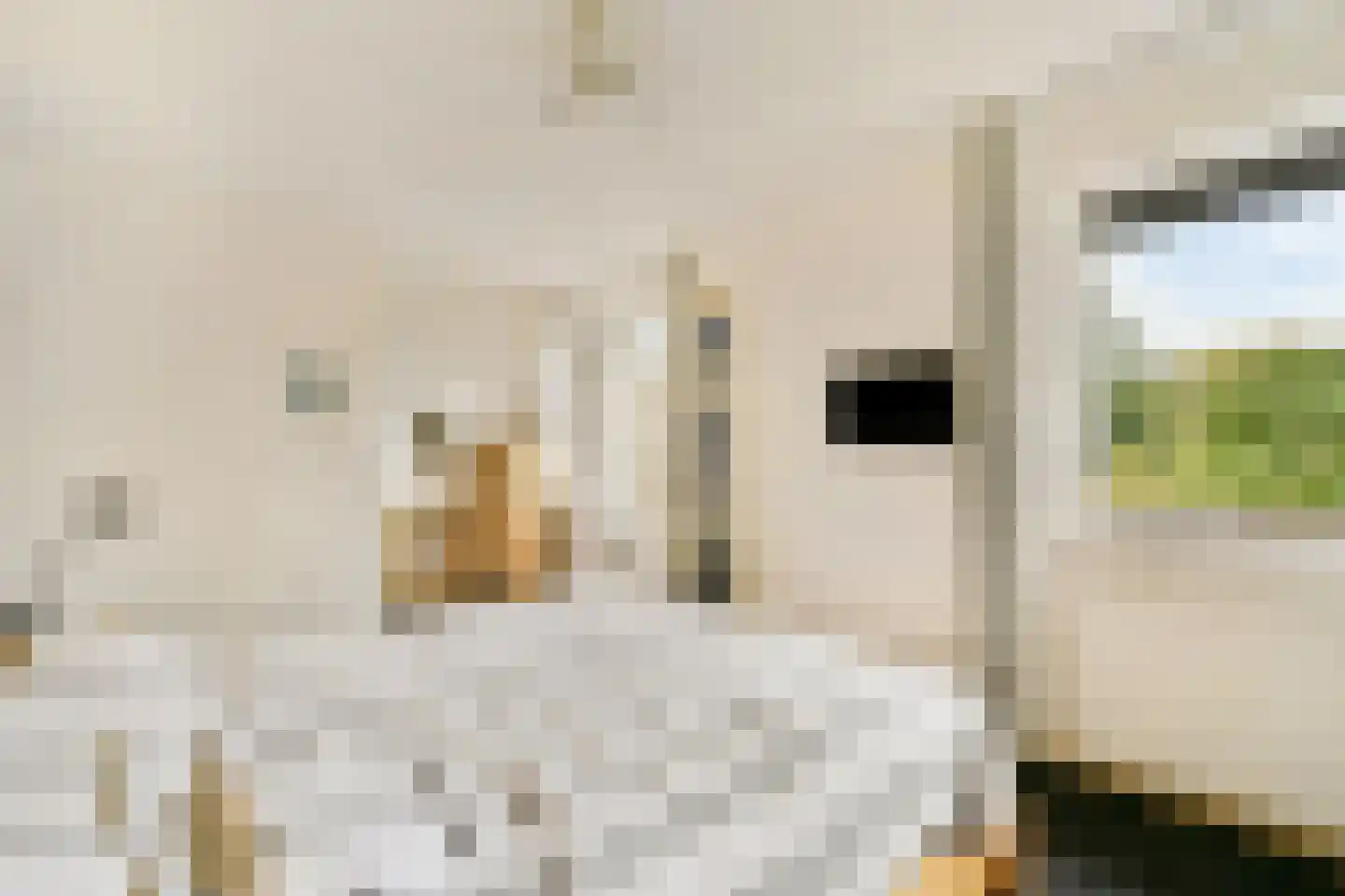 Kornoeljedreef 24 Vlaardingen thumbnail 27