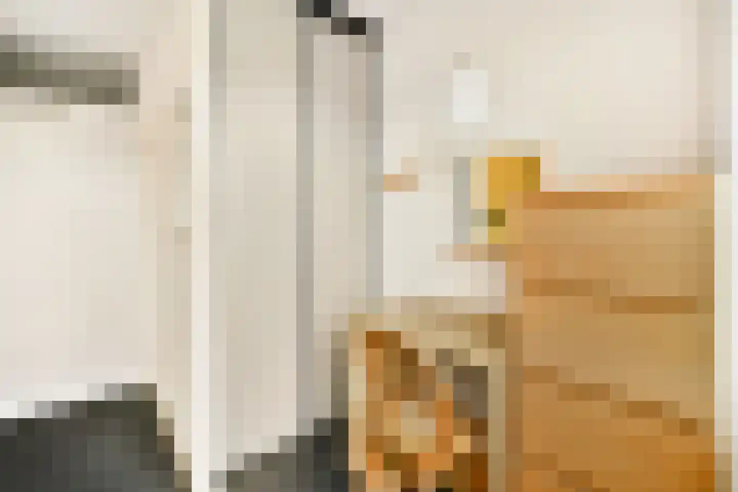 Kornoeljedreef 24 Vlaardingen thumbnail 28