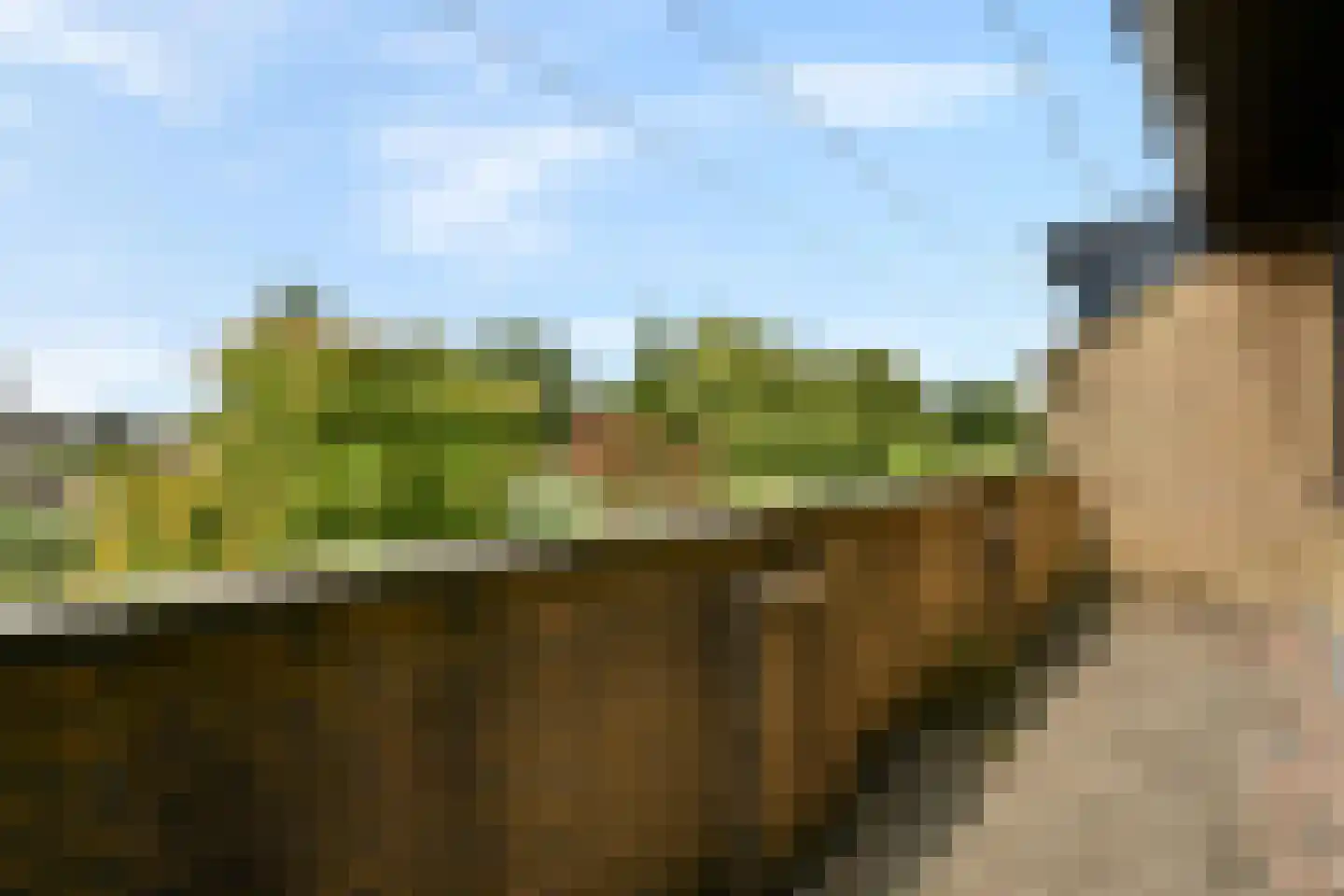 Kornoeljedreef 24 Vlaardingen thumbnail 29