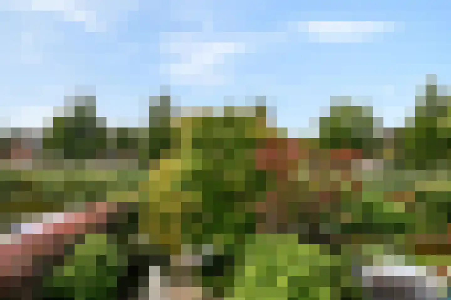 Kornoeljedreef 24 Vlaardingen thumbnail 31