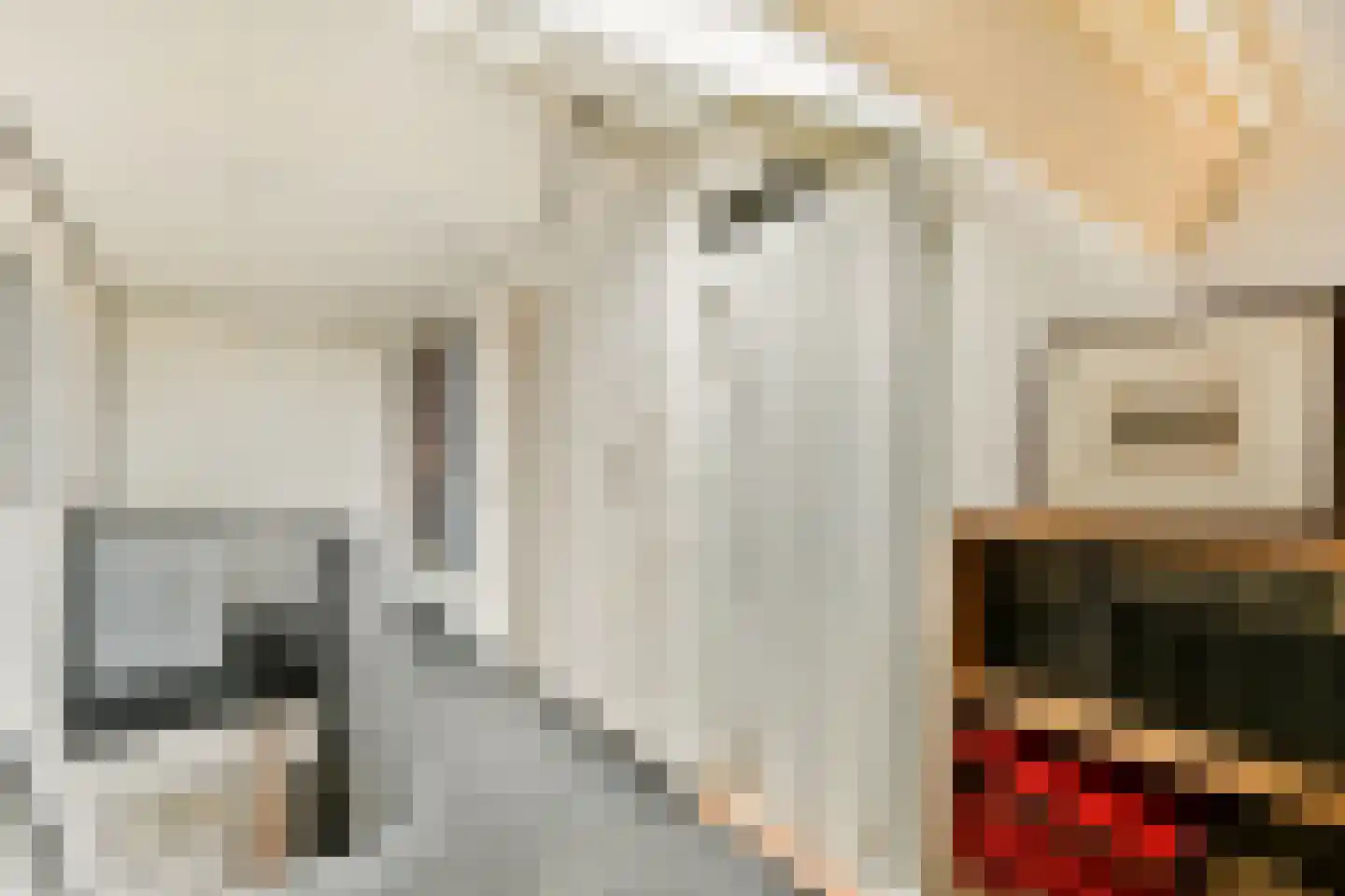 Kornoeljedreef 24 Vlaardingen thumbnail 37