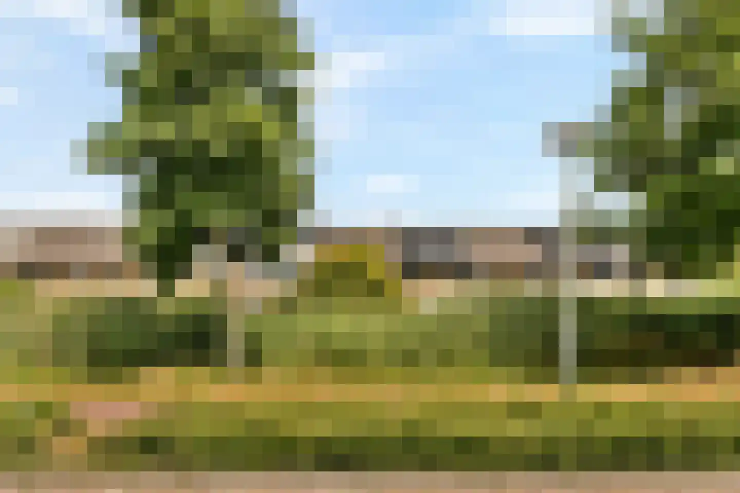 Kornoeljedreef 24 Vlaardingen thumbnail 41