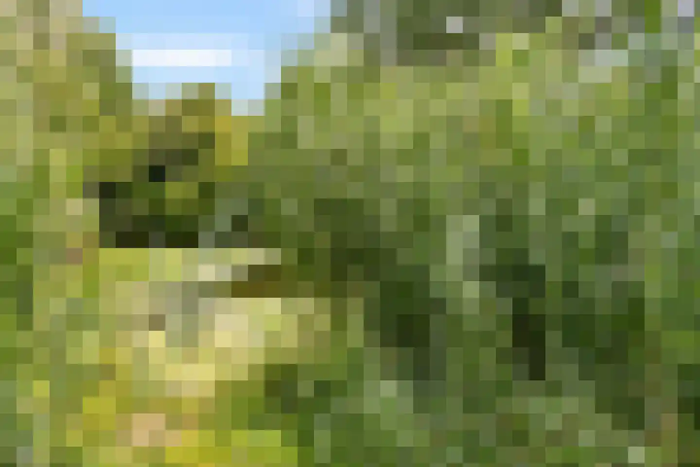 Kornoeljedreef 24 Vlaardingen thumbnail 43
