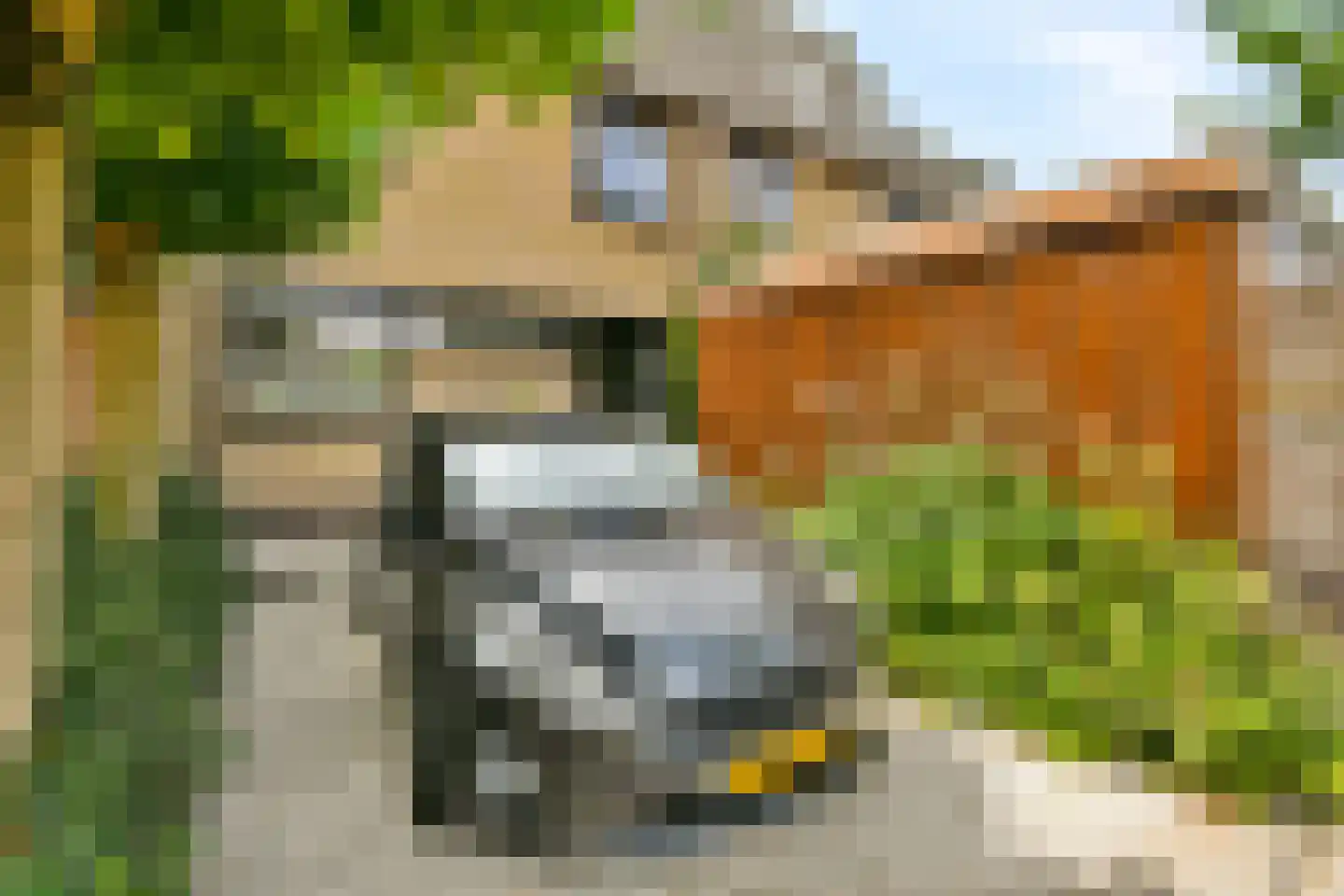Kornoeljedreef 24 Vlaardingen thumbnail 8