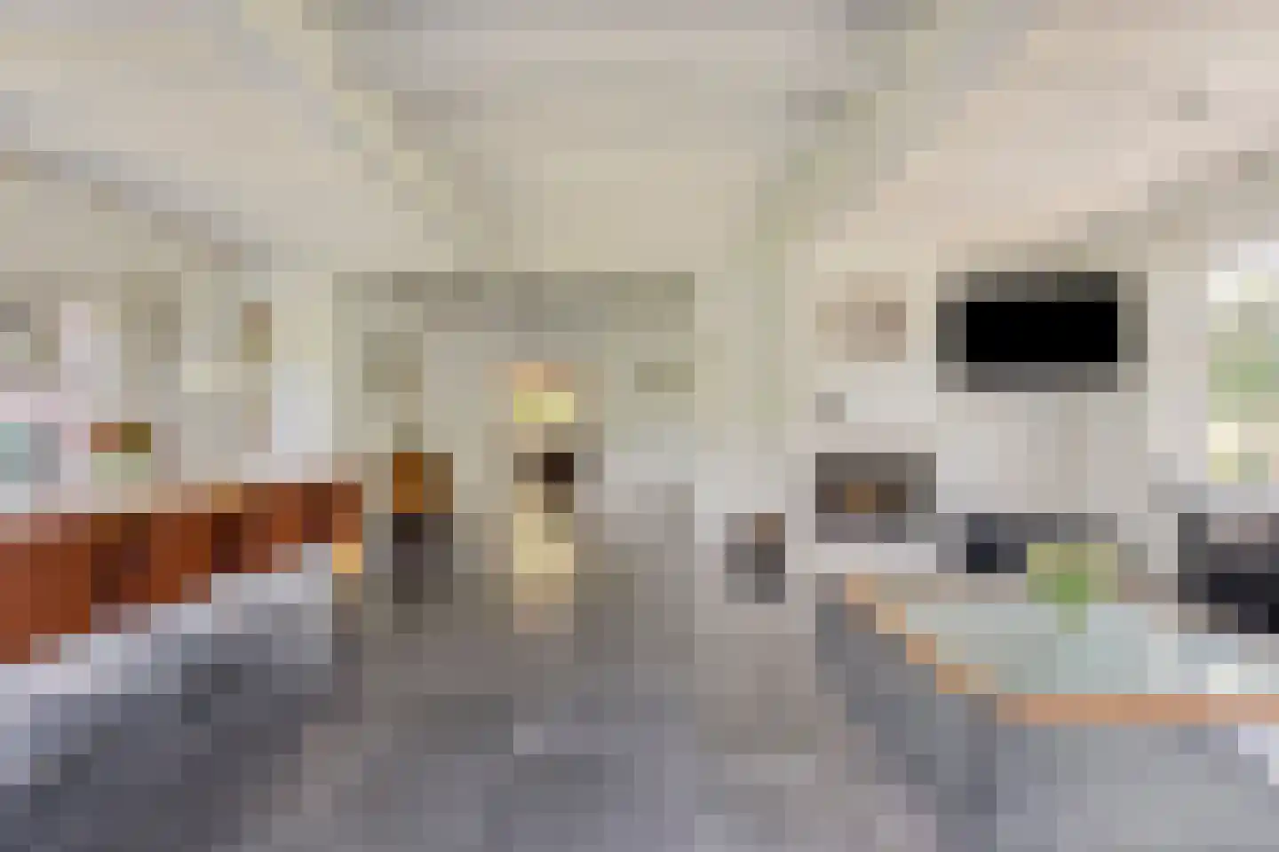 Kornoeljelaan 13 Halsteren thumbnail 11