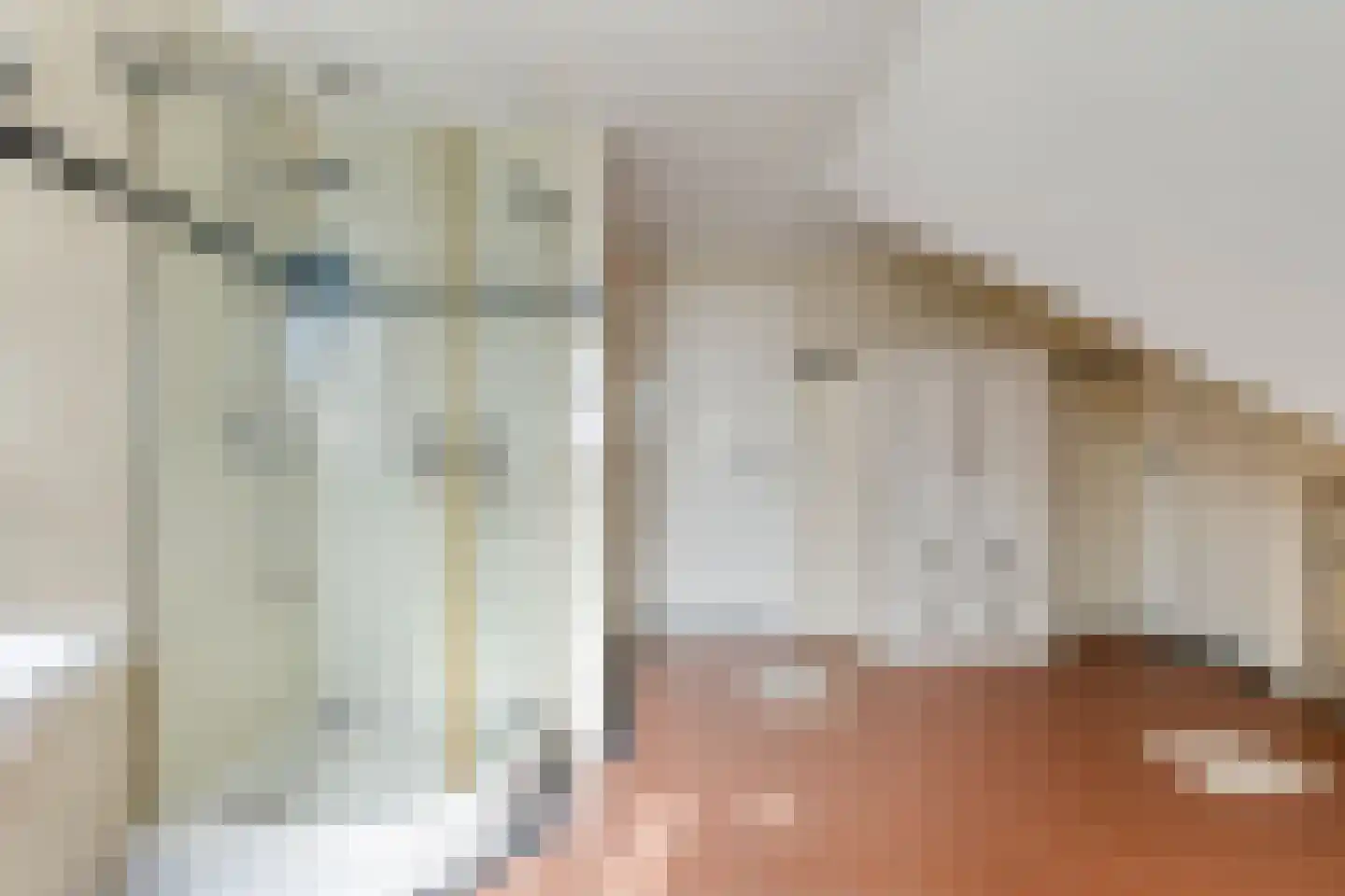 Kornoeljelaan 13 Halsteren thumbnail 30