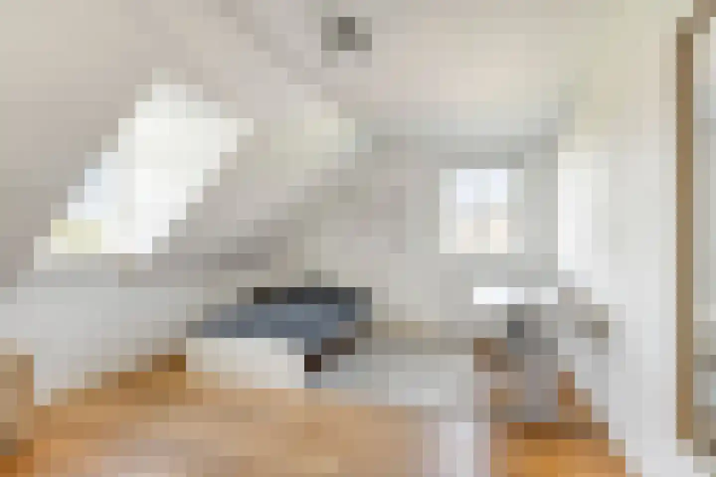 Kornoeljelaan 13 Halsteren thumbnail 33