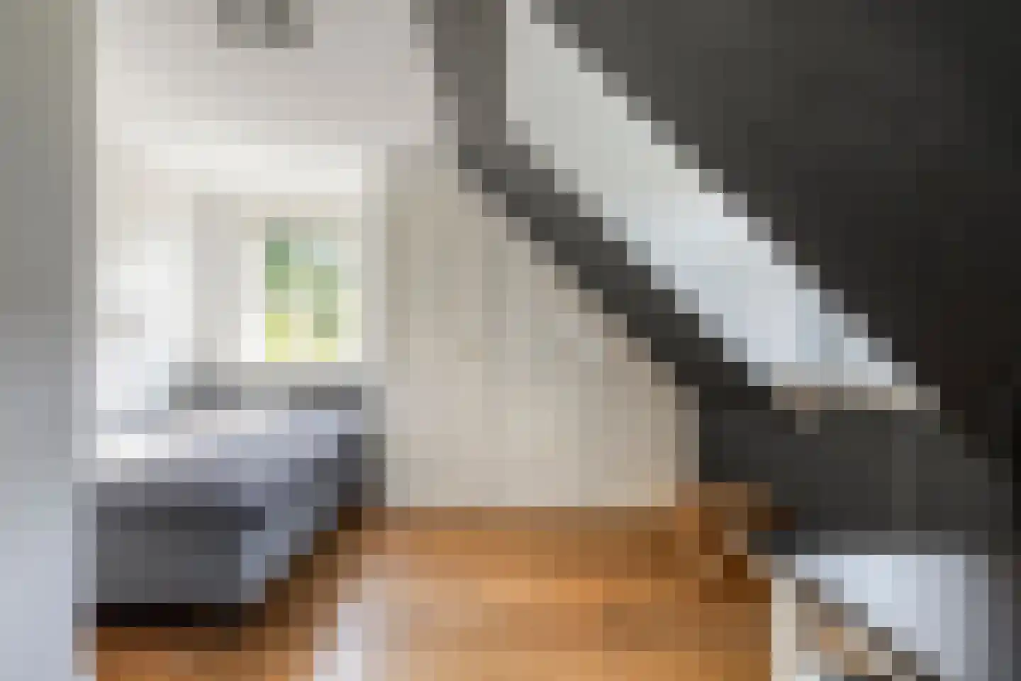 Kornoeljelaan 13 Halsteren thumbnail 35