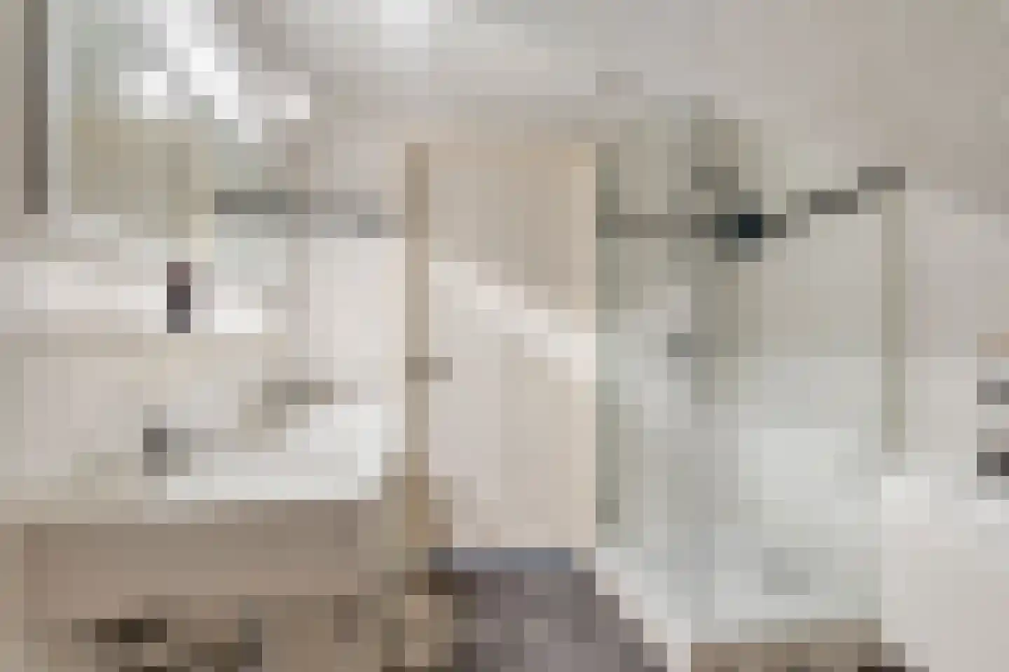 Kornoeljelaan 13 Halsteren thumbnail 37